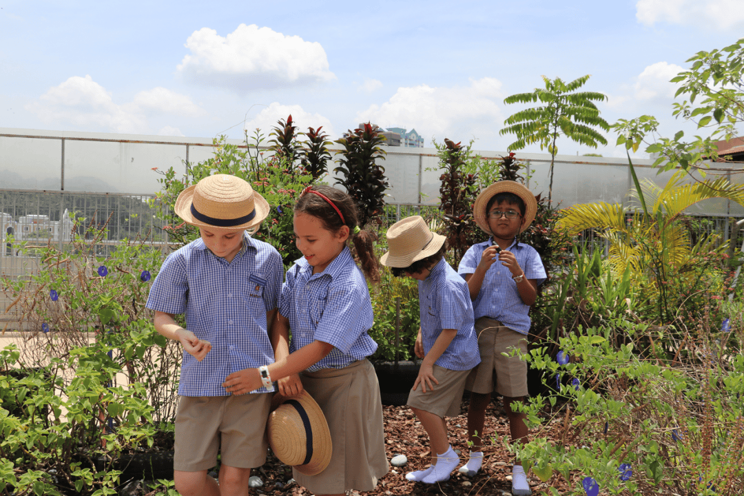 新加坡留學 | 跟小文走進新加坡米德爾頓國際學校