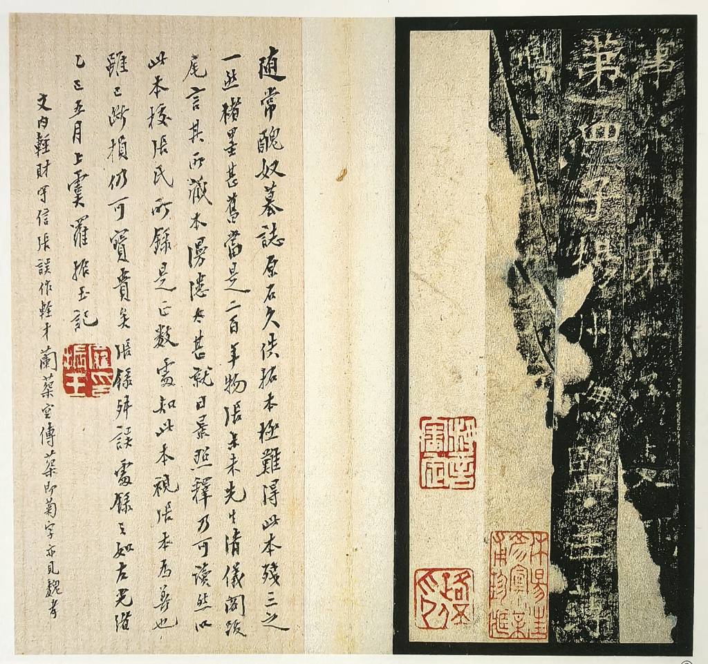 陳麥青｜上海圖書館藏隋《常醜奴墓誌》善本兩種讀後