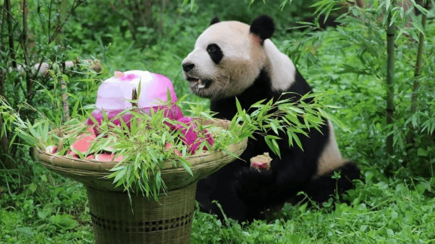 當用中國傳統色開啟“湄公河旅遊”，原來風景可以這麼詩意~