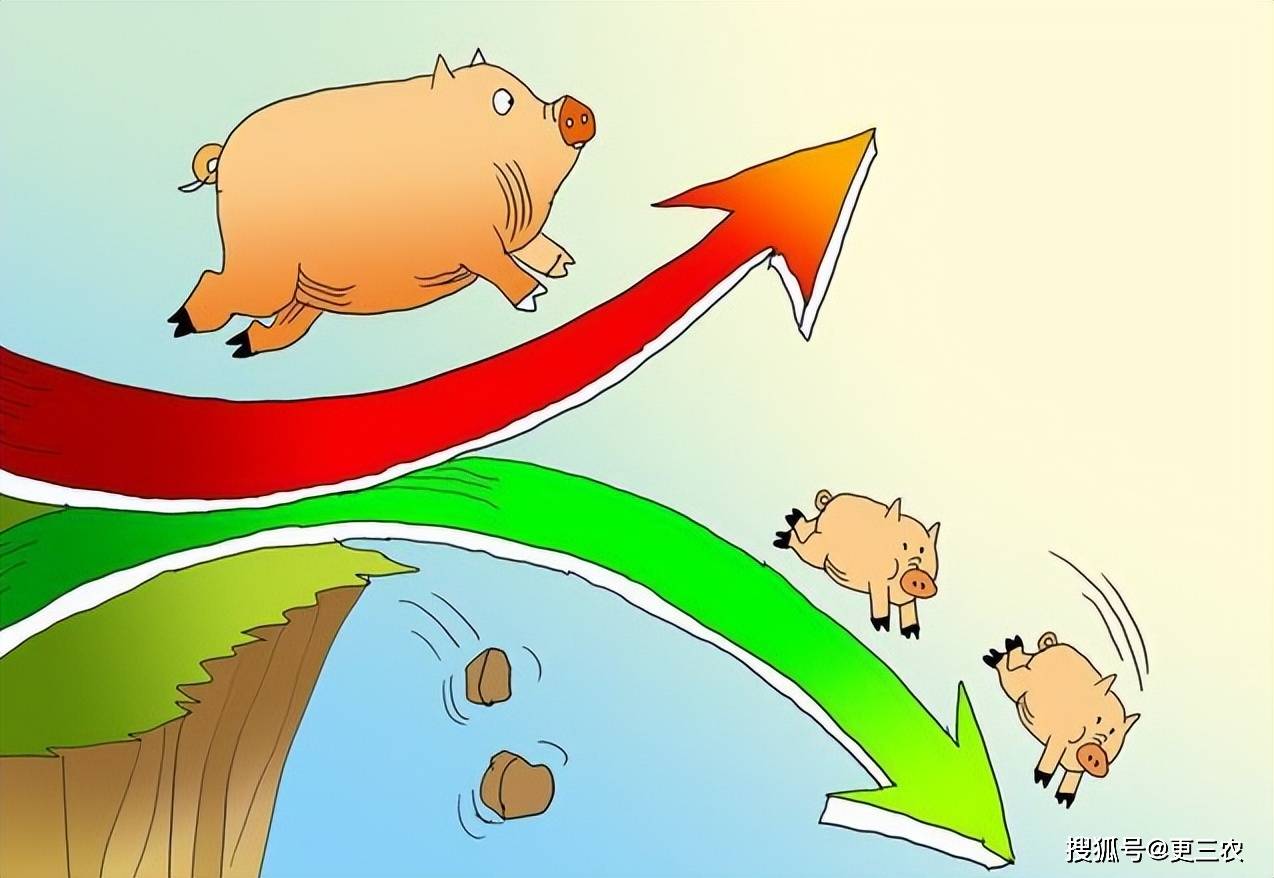 原創一片綠！豬價跌破“地板線”，3月下跌無休無止？