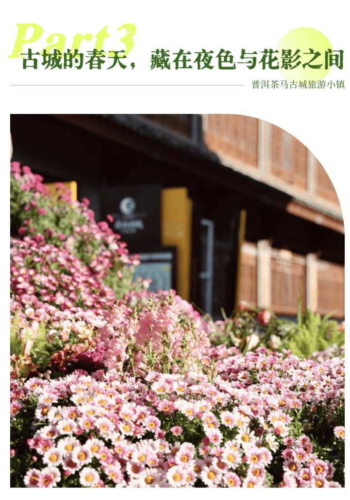 湄公河旅遊春日賞花地圖 | 把時光浪費在花事裡，剛剛好~