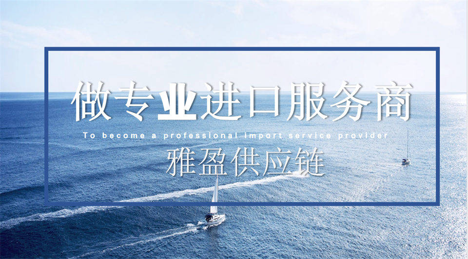 高效通關實錄：看雅盈供應鏈如何助力玩具品牌快速落地中國