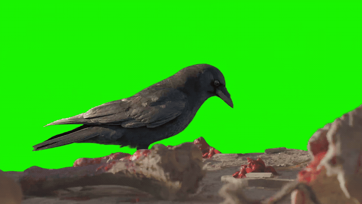 AI來了，影視行業希望與焦慮齊飛，影視人的未來又在何方？