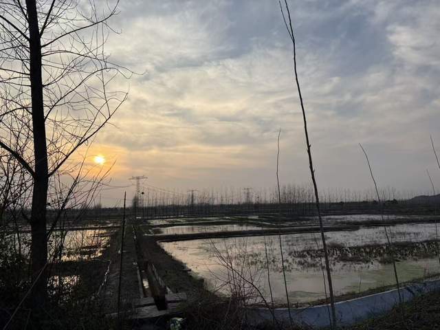 遊歷雅記：風渡柳湖，山河敘語——感人至深的移民故事