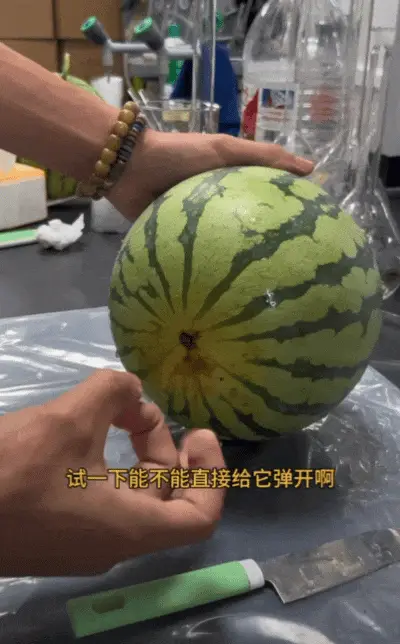 全中國最接地氣的大學生，被小看了