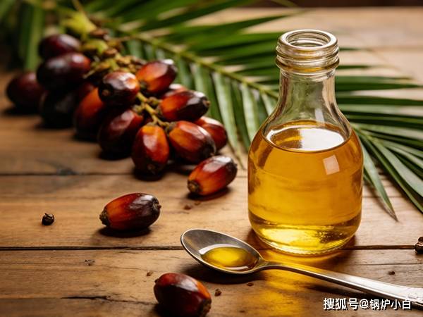 出口印尼市場：中正鍋爐15噸燃煤蒸汽鍋爐助力棕櫚油廠平穩執行