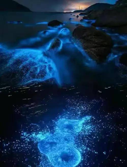 平潭島藍眼淚，霞浦海帶季、船𠂆油漆工、惠安女、山腰鹽廠、潯埔女攝影團