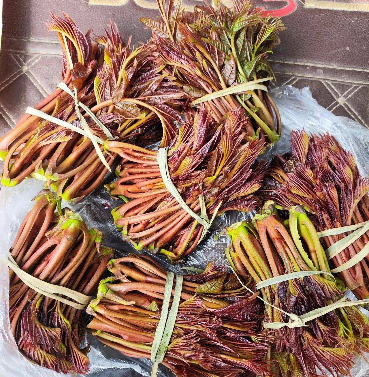 春日美食推薦•陝西彬州美食香椿炒雞蛋