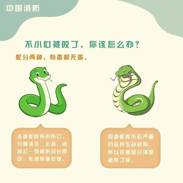 女童被眼鏡王蛇咬傷，“假死”3天后奇蹟生還！