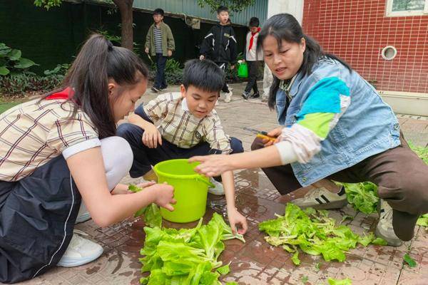 南寧市鑫利華小學開展種植義賣綜合實踐活動