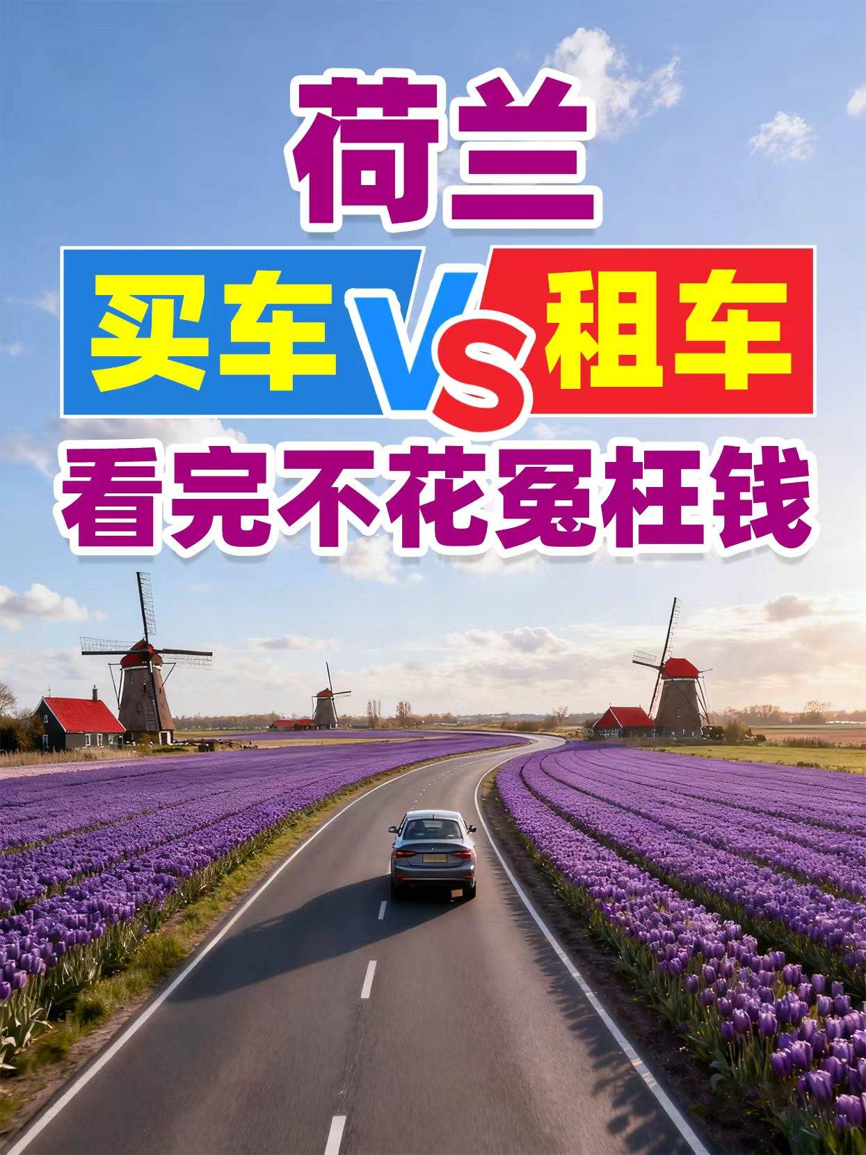 支招荷蘭移民中介服務，探討荷蘭創業移民條件哪家口碑好