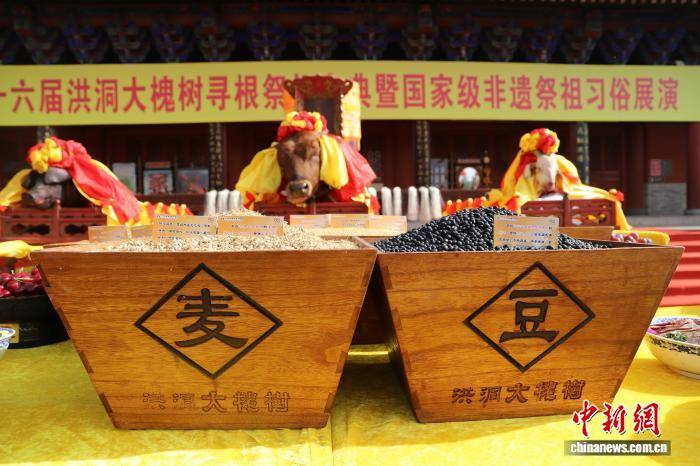 “華人老家”山西洪洞大槐樹祭祖大典啟幕：移民後裔共尋根