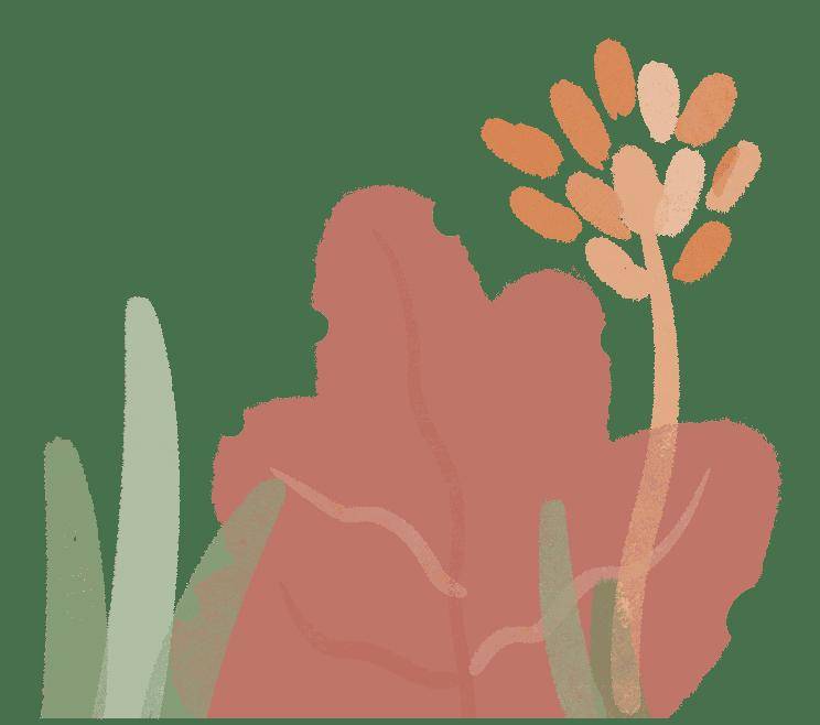 南部縣東壩中學校友會成立倡議書！（內附秘書長微信）