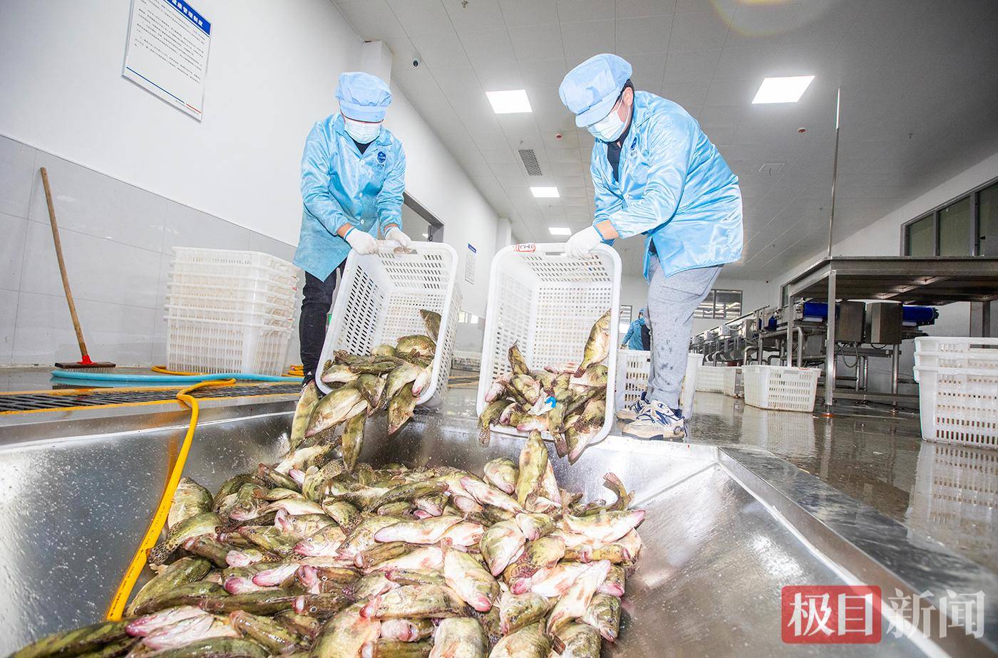 來黃石看“楚超”，這篇美食攻略請收好