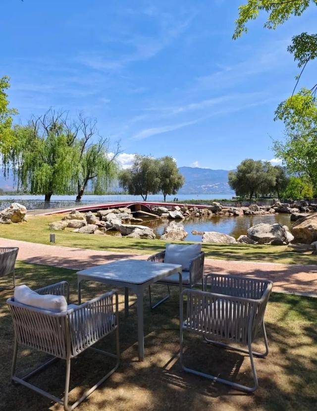 比大理浪漫！比昆明更近！高鐵直達陽光小城，2萬株藍花楹美瘋！觀海登山，美食吃到爽！