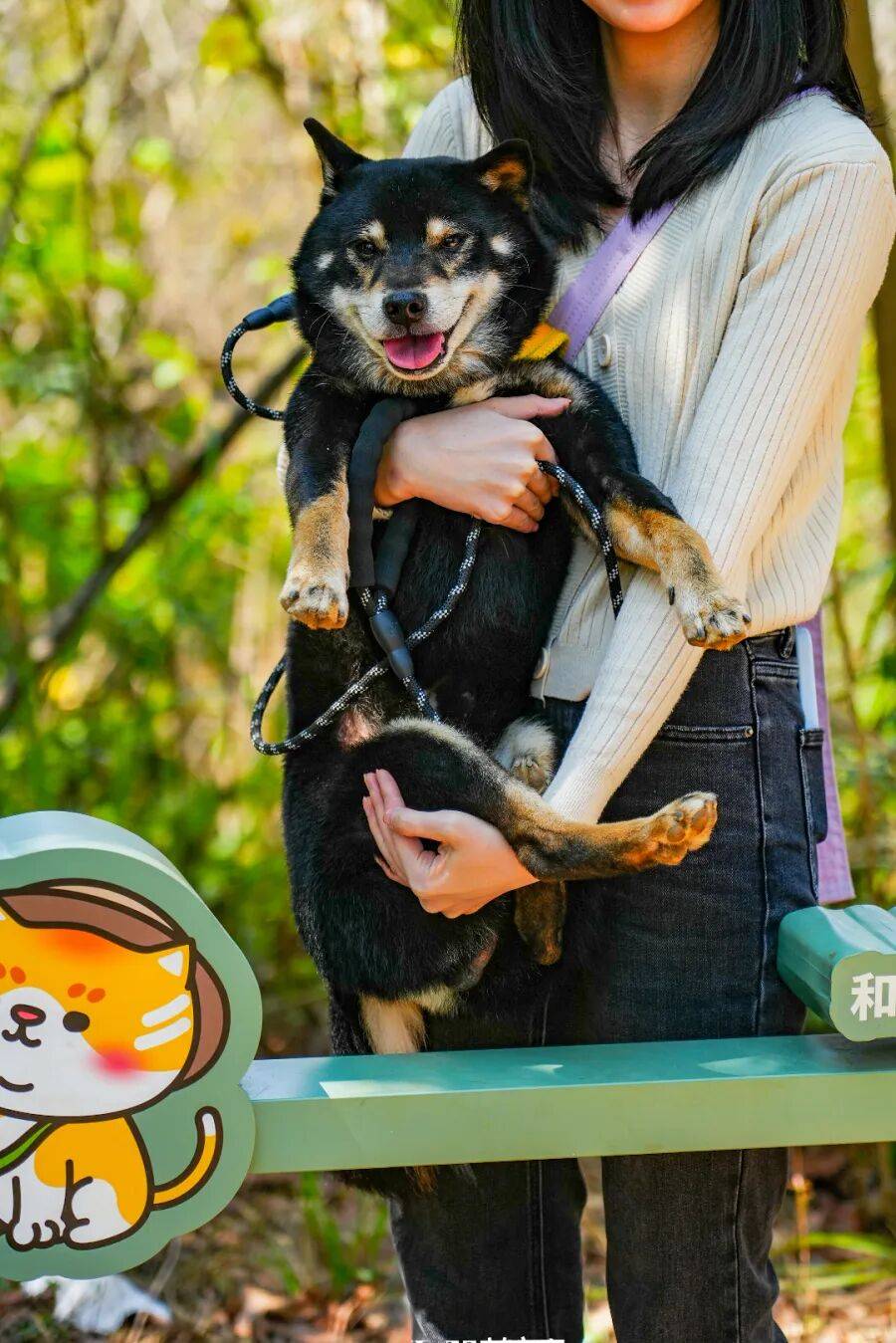 今日深圳｜聽說，羅芳郊野徑新開了個“狗狗圖書館”