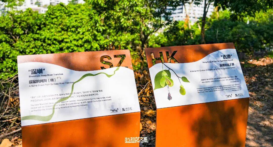 今日深圳｜聽說，羅芳郊野徑新開了個“狗狗圖書館”