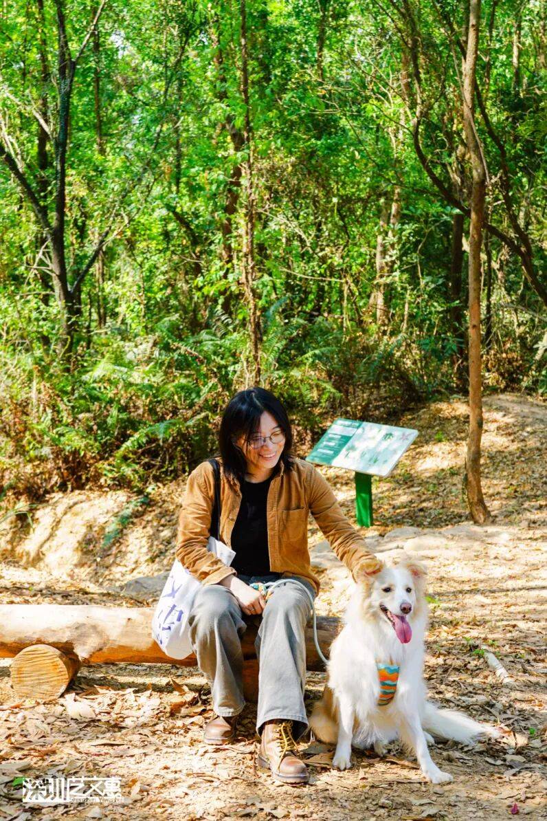 今日深圳｜聽說，羅芳郊野徑新開了個“狗狗圖書館”