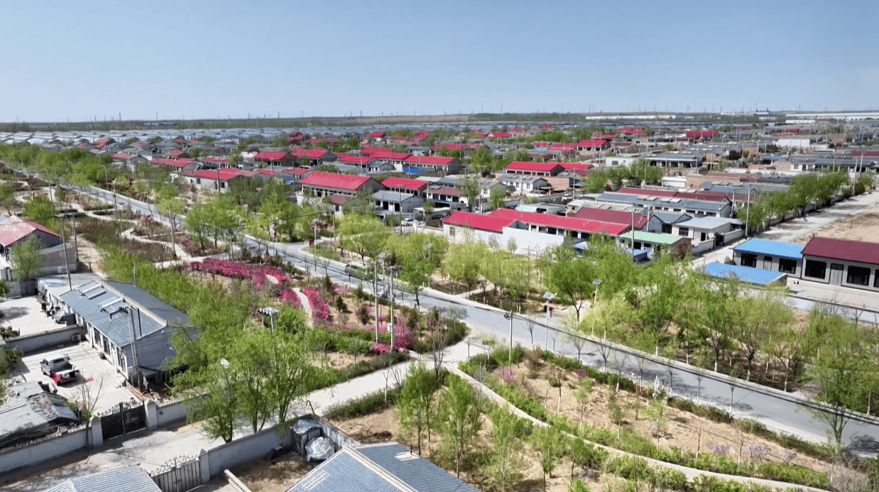 從土坯房到小別墅 紅寺堡移民生活展新顏