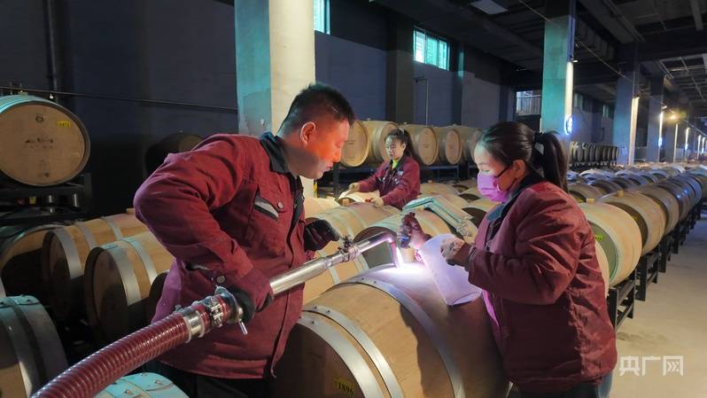 從“沙”到“金”：閩寧協作+工會賦能點亮移民致富路