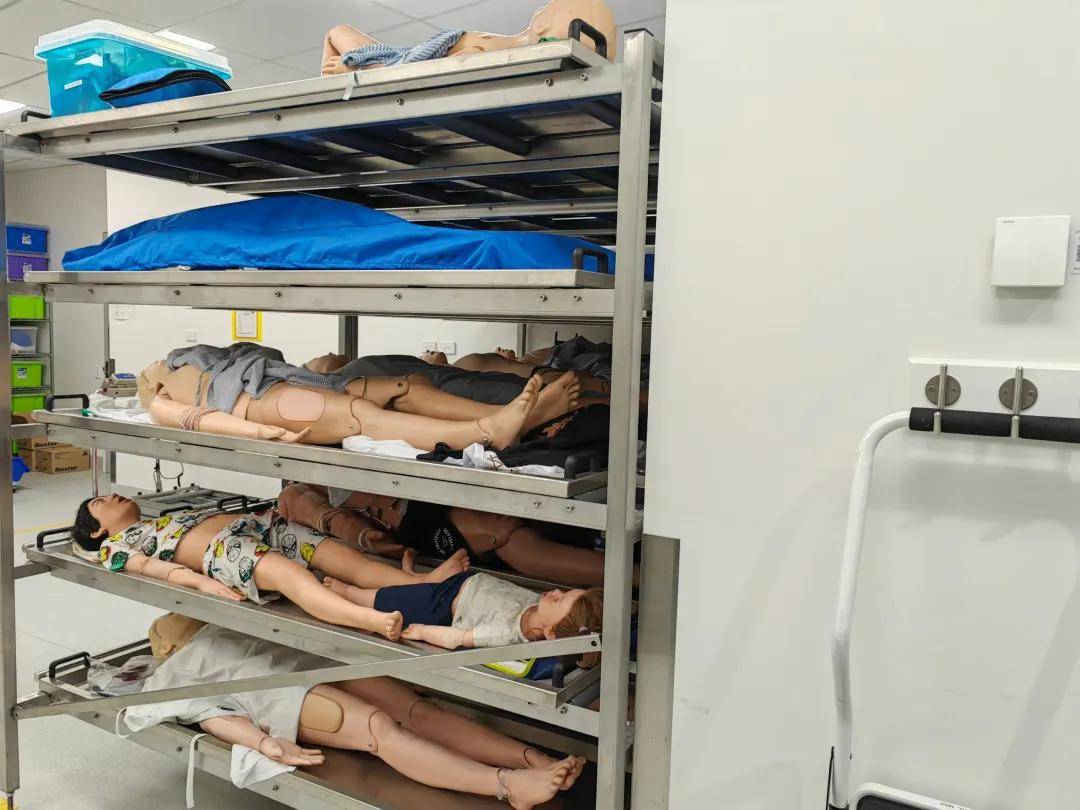 【2026艾迪探校① 】最佳留學城市-阿德萊德，親歷南澳州留學體驗！