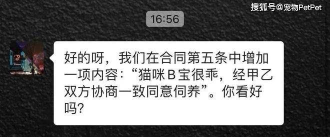 原創貓的誘惑有多大？租房不讓養貓，靠一張貓咪照片搞定房東！