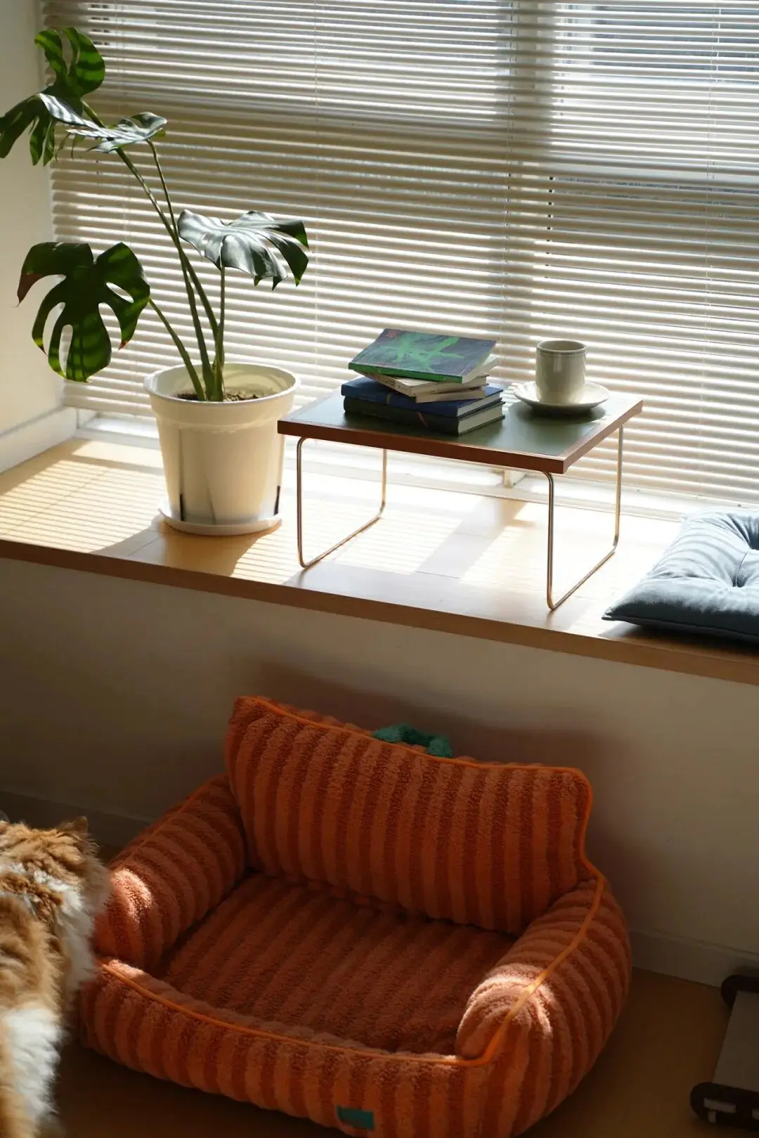 裝修“精神角落”，就是這麼上癮