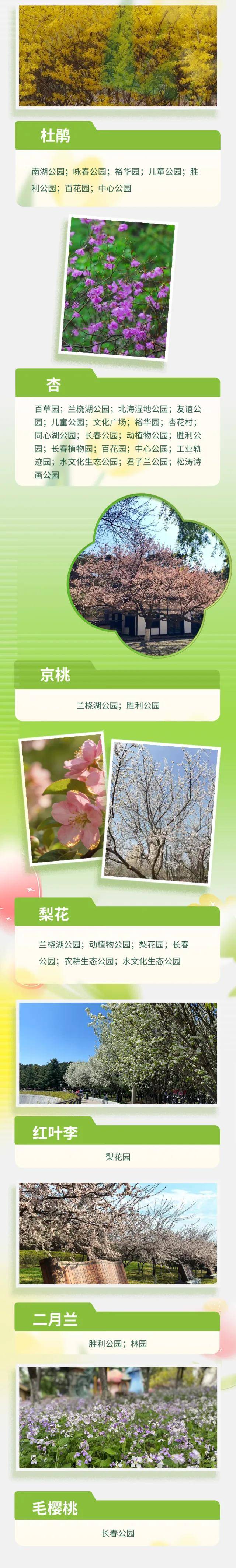 絕了！一直開開開不完！賞花攻略趕緊收藏