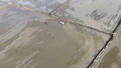 穀雨至，農事興！春耕也玩“黑科技”