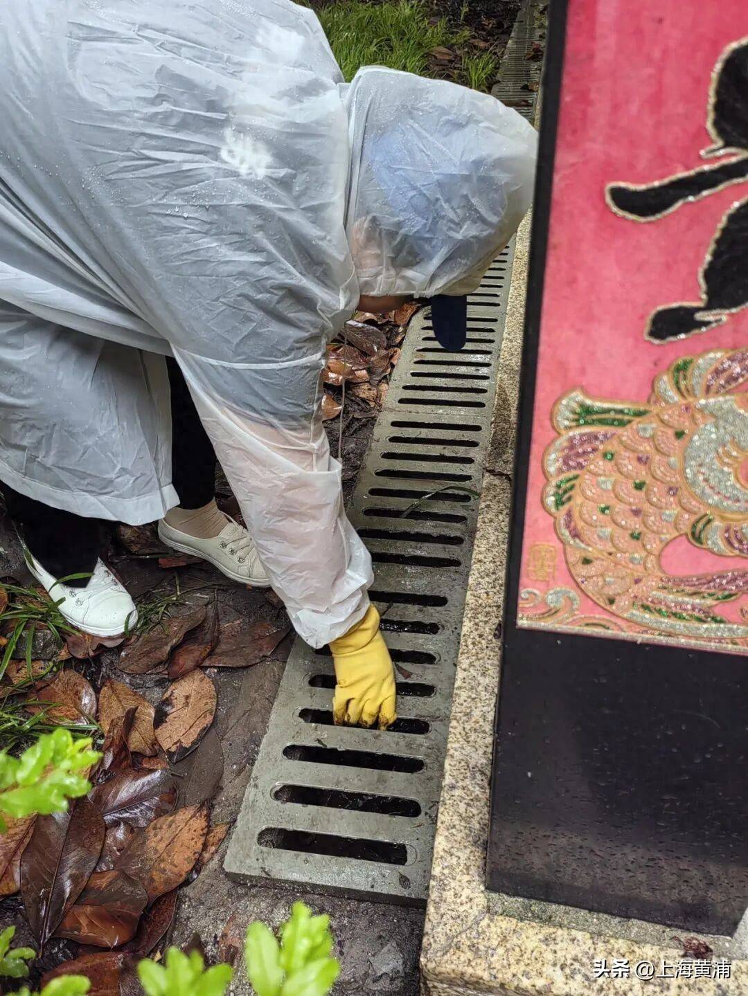 迎戰“巴威”：聚焦老舊小區、保租房、公共綠地，全力築牢“民生屏障”