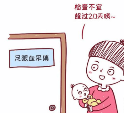 橋本會遺傳嗎？備孕 / 懷孕女性必看的 3 條真相！