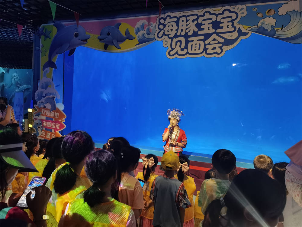 高原添新丁，萌豚徵黔名！貴州海洋館成功批次繁育三隻小海豚，邀您為“高原寶寶”起名