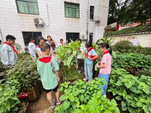 紅領巾同心築夢 常尋情牽手成長 ——常州市潘家小學師生到訪尋烏縣實驗小學校交流活動紀實
