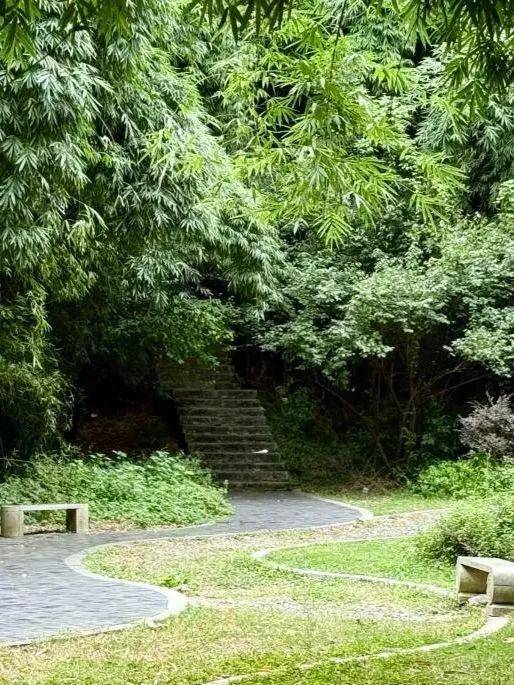 旅遊不如旅居｜這個暑假，換一種方式避暑 #旅居避暑聖地排名