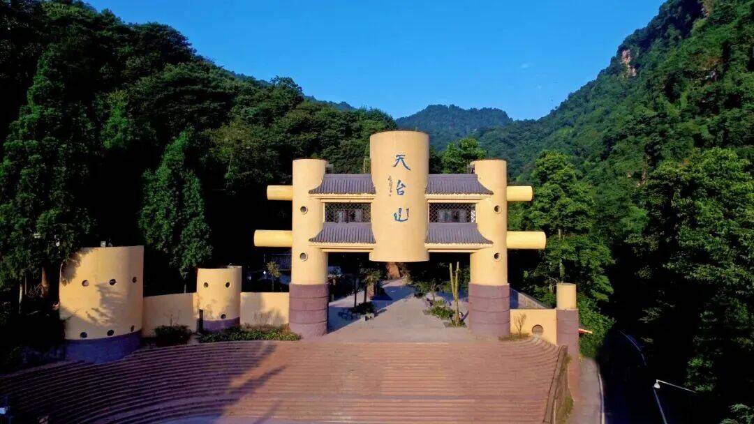 今日入伏 收藏一份夏日安然