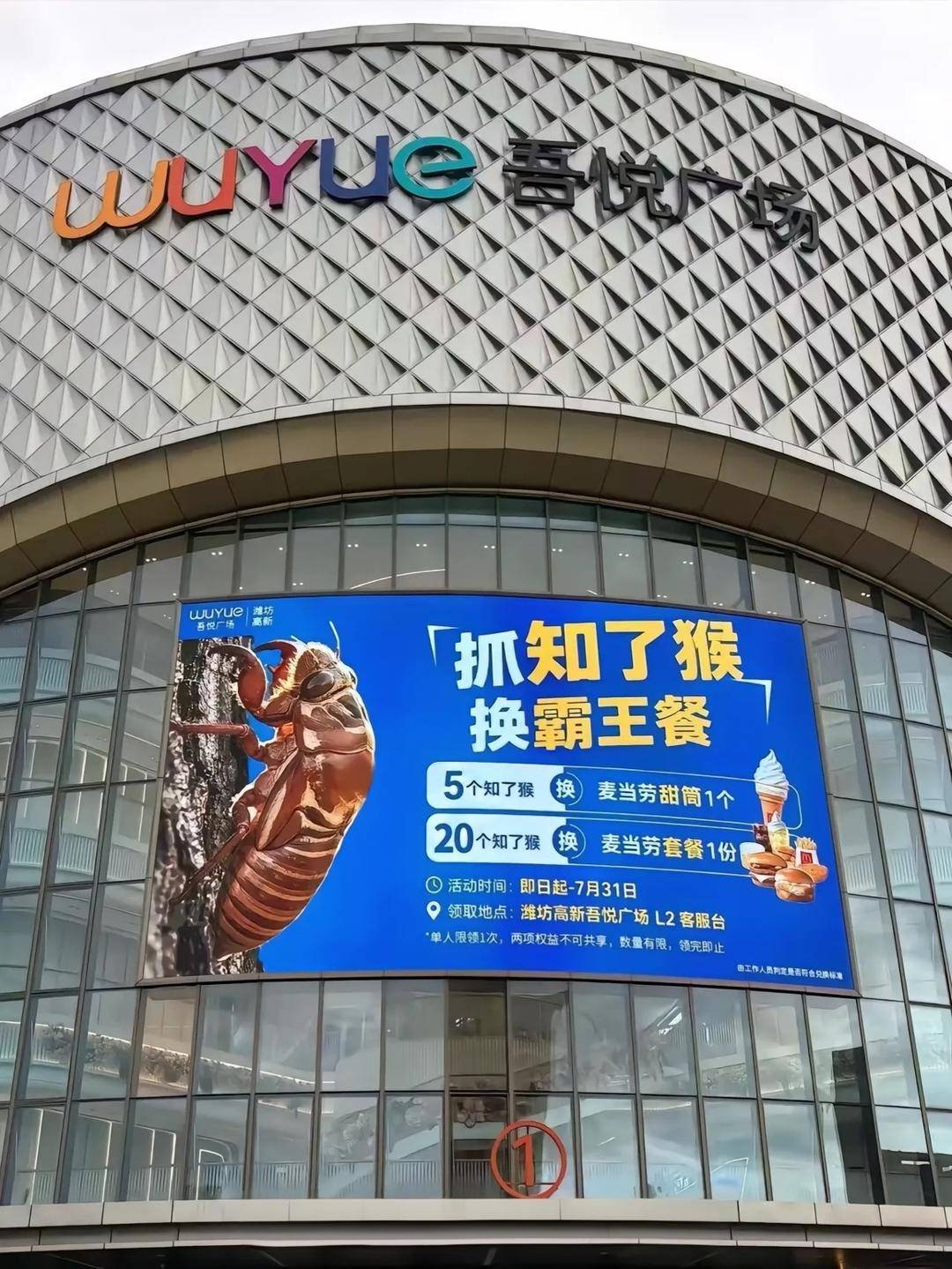 快評丨商場推出知了猴換美食活動，營銷不該只把自然當引流道具
