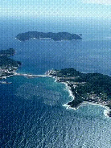 東北最小的縣，剛給5萬隻候鳥發了“世界級房產證”