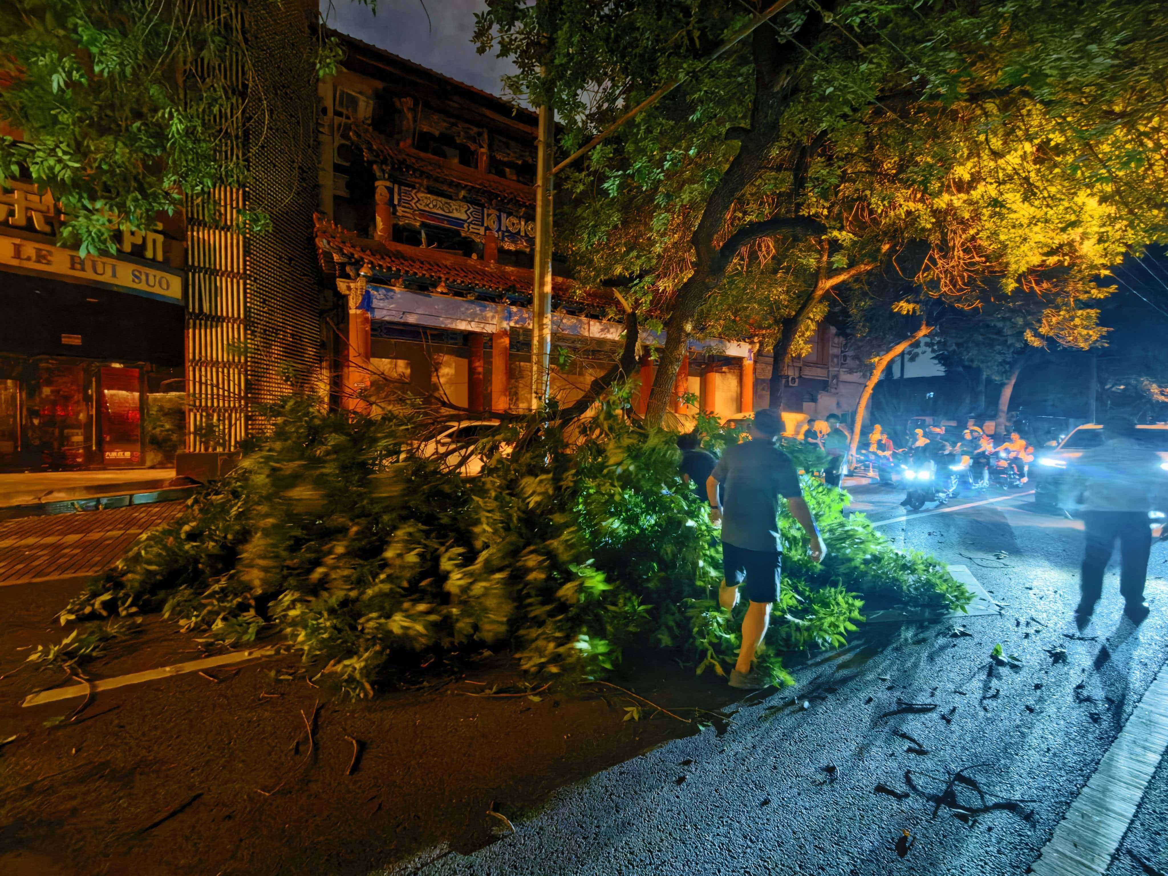 海淀花園路，大樹枝丫突然折斷，15分鐘快速處置恢復道路交通