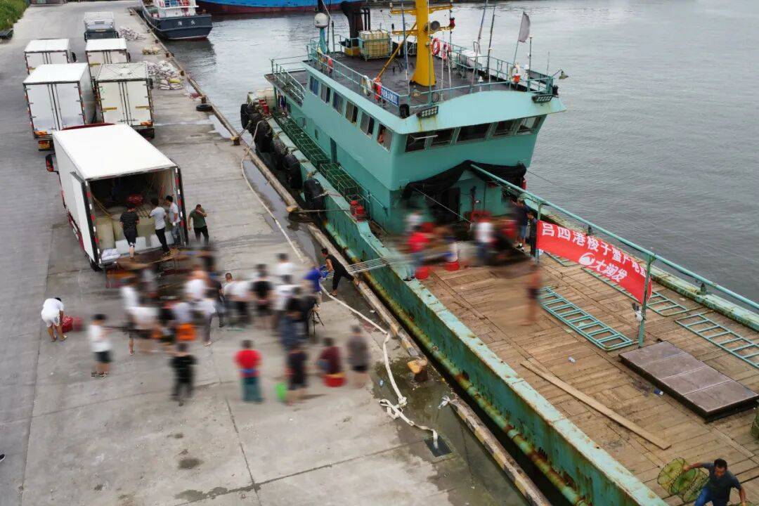 上岸到貨架最快8小時！大潤發打通海產品鏈路，解鎖開海第一口鮮