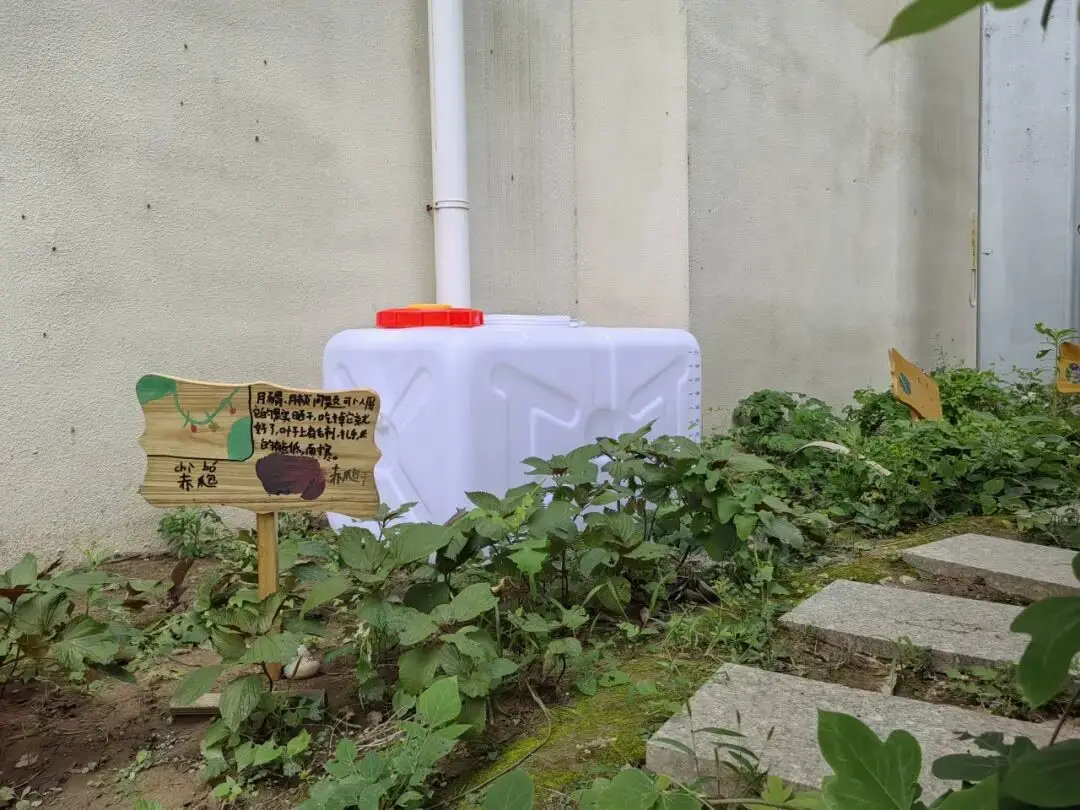 北京一群小學生，巧用雨水完善校園水迴圈