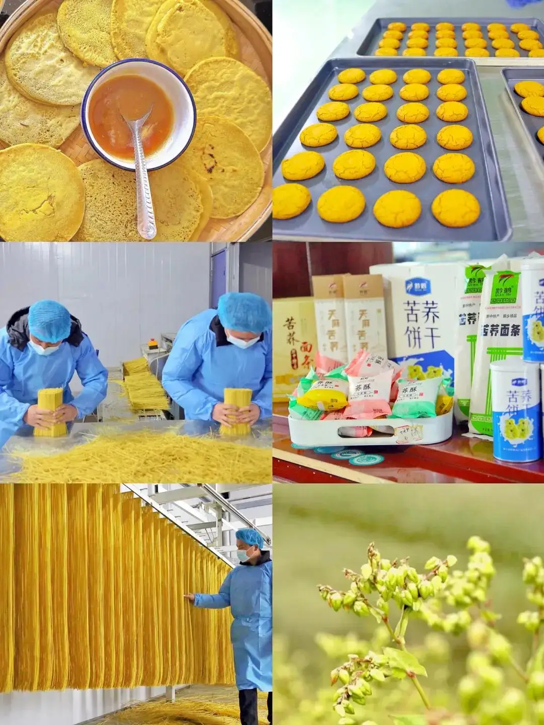 2026威寧半程馬拉松期間，這些美食別錯過