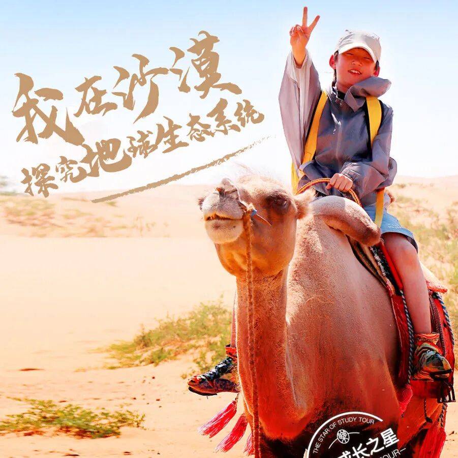 從藍帶小學到加州重點中學，新東方營員的美國插班遊學太精彩了！