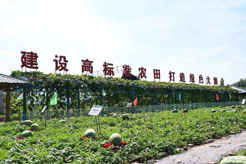一鍵收藏！玩轉農博會！逛展不走彎路