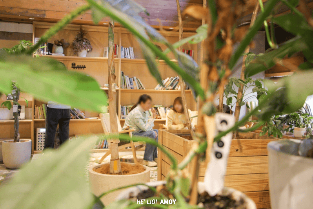 別隻去網紅書店！廈門這些藏在山腰和老村裡的小眾閱讀空間，能喝茶能看書，還能打卡影視劇取景地！