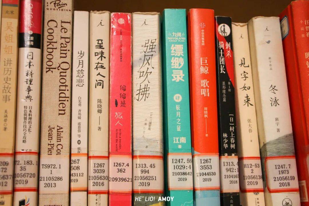 別隻去網紅書店！廈門這些藏在山腰和老村裡的小眾閱讀空間，能喝茶能看書，還能打卡影視劇取景地！