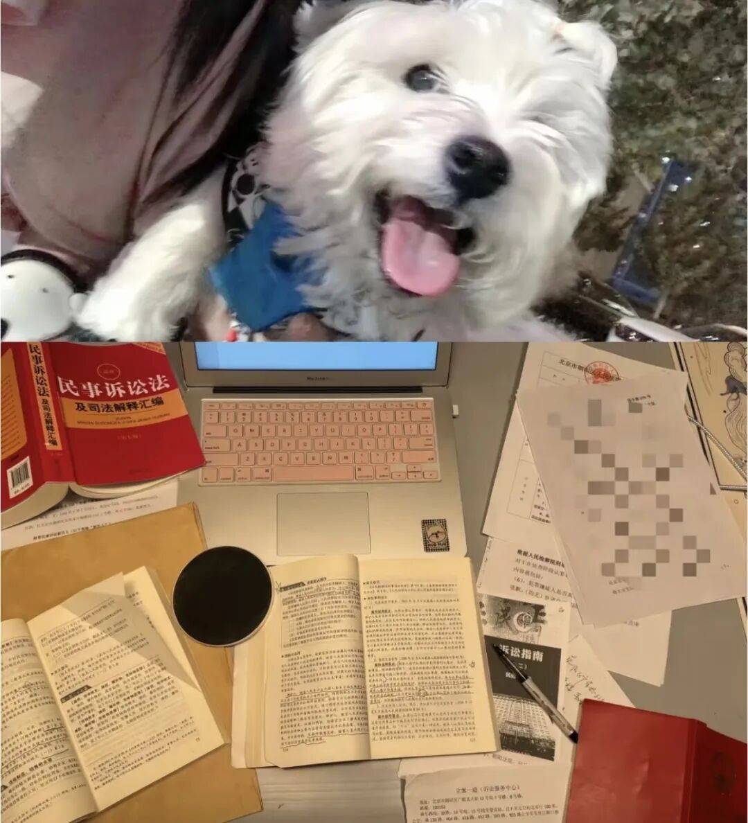 一個普通女性，如何為她的小狗主持正義