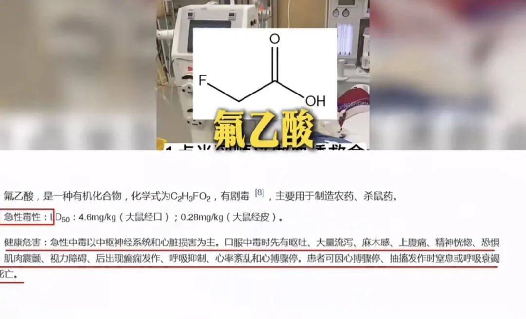 一個普通女性，如何為她的小狗主持正義