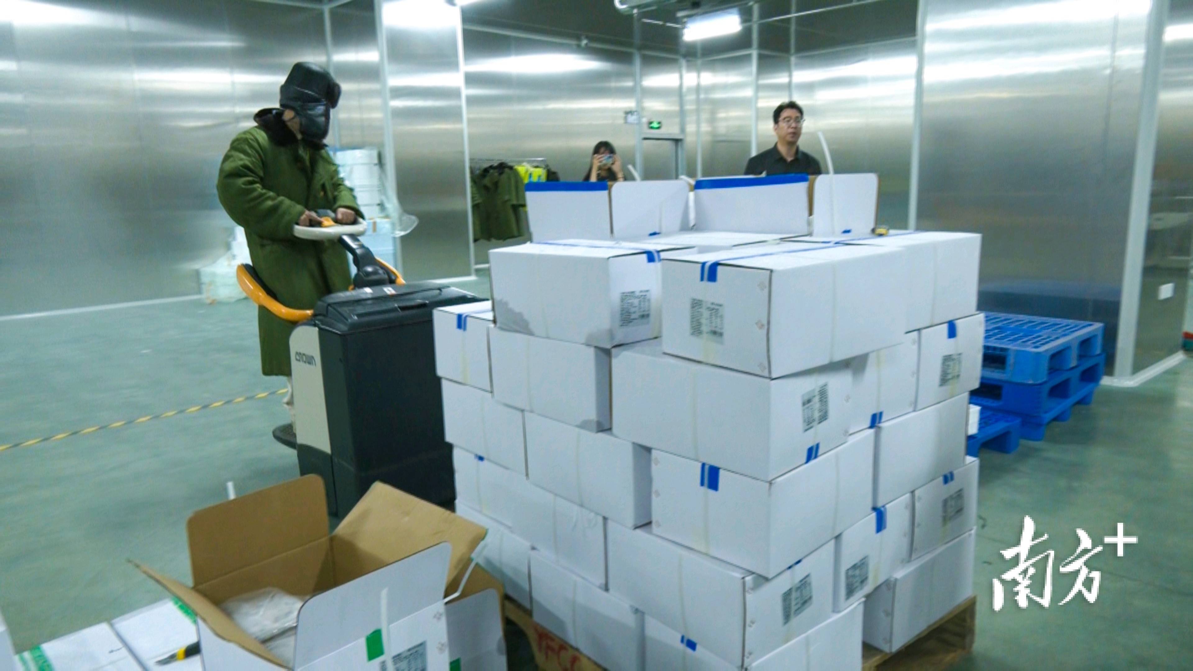 裕豐倉儲蓄勢待發，全力保障開漁季漁獲高效新鮮轉運