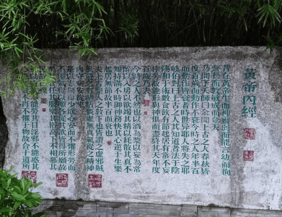 廣西中醫藥大學考研保研好不好？本碩脫節是考研大忌，貫通培養才是升學捷徑