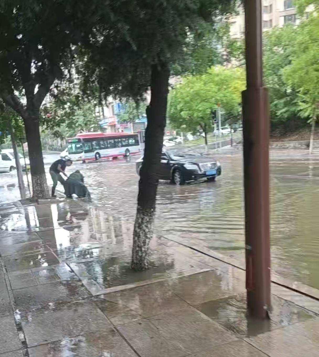 大連急雨中的“最美彎腰” 他們徒手開啟井蓋快速排澇保暢通